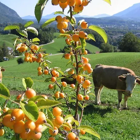 Fellnerbauer