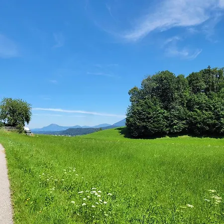 Fellnerbauer
