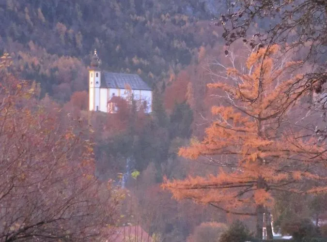 Fellnerbauer *